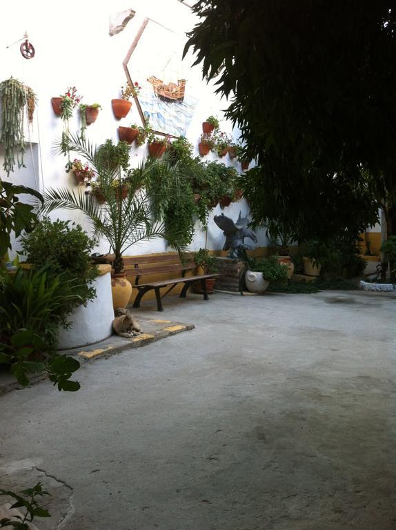 Patio Das Flores Ferreira Do Alentejo Eksteriør bilde