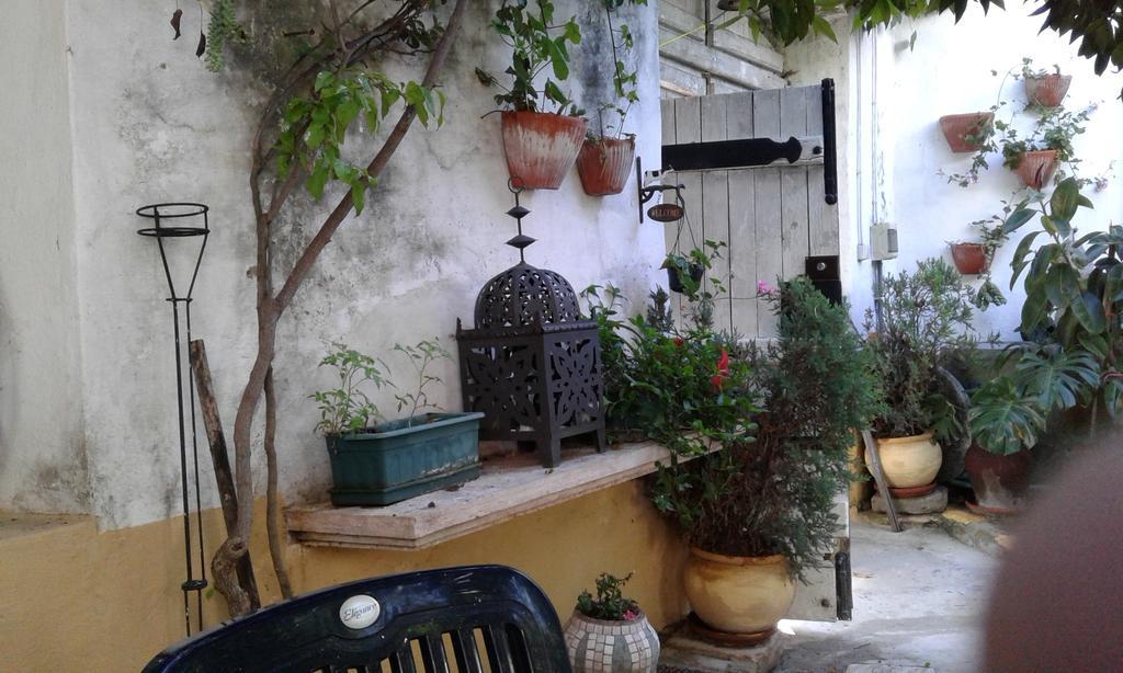 Patio Das Flores Ferreira Do Alentejo Eksteriør bilde