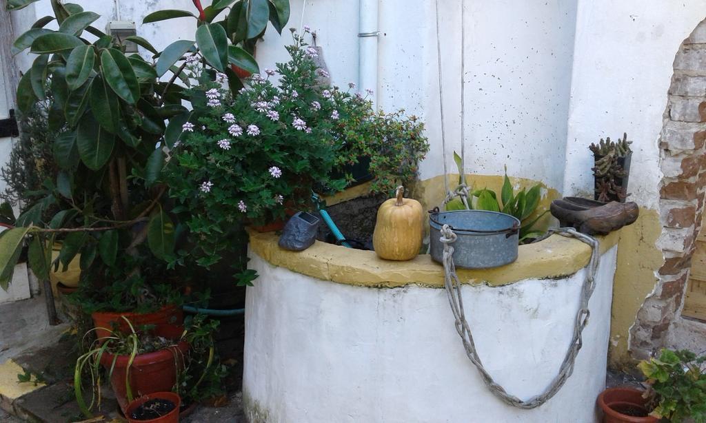 Patio Das Flores Ferreira Do Alentejo Eksteriør bilde